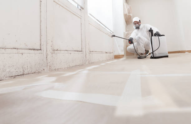 24/7 Emergency Commercial Mold Remediation experts in Jersey City, NJ