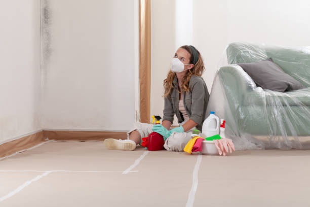 Reliable Commercial Mold Remediation contractor in Jersey City, NJ by WQB Mold Removal